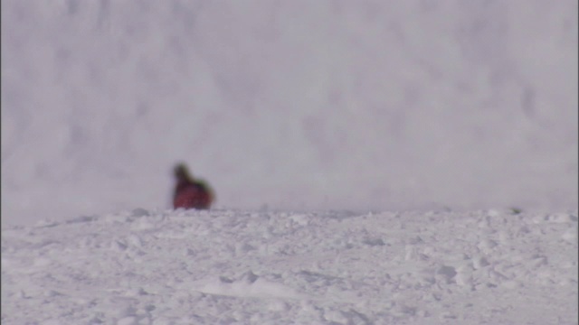 滑雪者从多雪的山上滑下来。视频素材