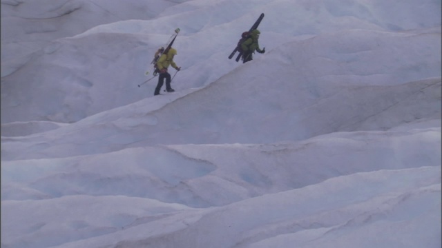 滑雪者带着他们的装备穿越雪地。视频素材