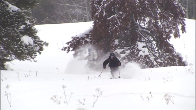 滑雪者和滑雪板运动员在白雪覆盖的山上雕刻。视频素材