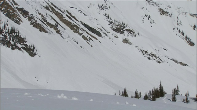 大雪掩埋了生长在陡峭山坡上的树木。视频素材