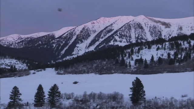 大雪覆盖了山脉下森林覆盖的山谷。视频素材