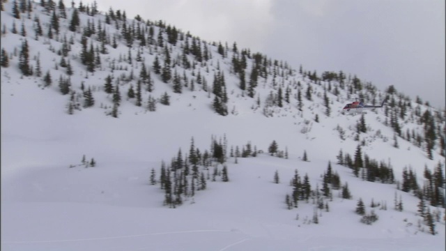 当一架直升机降落时，一名地勤人员消失在雪中。视频素材