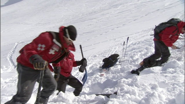 事故模拟小组成员用铲子从雪崩路径中挖出人体模型。视频素材