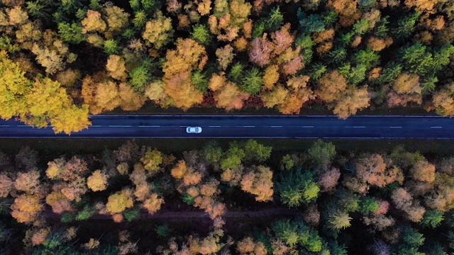 鸟瞰图森林道路在秋天与汽车。空中俯瞰笔直的道路与汽车在多彩的乡村秋天森林。秋天橙色，绿色，黄色，红色的叶子树树林。视频素材