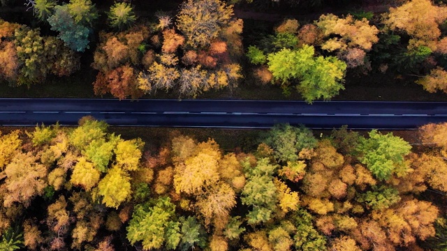 鸟瞰图森林道路在秋天与汽车。空中俯瞰笔直的道路与汽车在多彩的乡村秋天森林。秋天橙色，绿色，黄色，红色的叶子树树林。视频素材