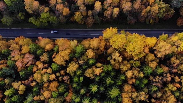 鸟瞰图森林道路在秋天与汽车。空中俯瞰笔直的道路与汽车在多彩的乡村秋天森林。秋天橙色，绿色，黄色，红色的叶子树树林。视频素材