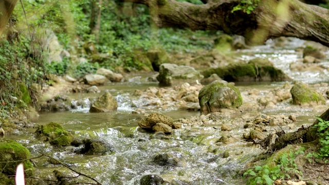 山区河流视频素材