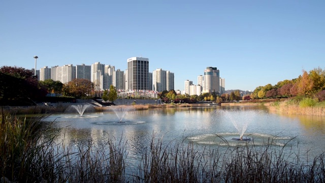 秋天的森林。湖。秋天的风景。真正的时间。韩国首尔奥林匹克公园视频素材