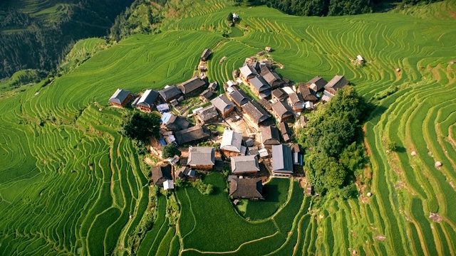 中国贵州家邦，稻梯田间的Aerila村屋。视频素材