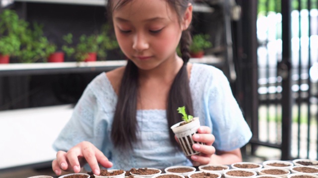 孩子种植水培苗到新的塑料花盆视频素材