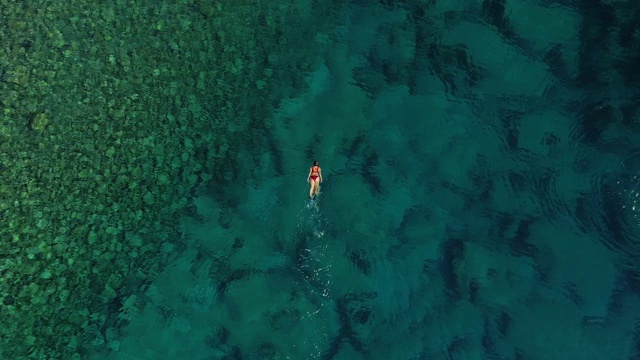 浮潜在清澈的绿松石海视频素材