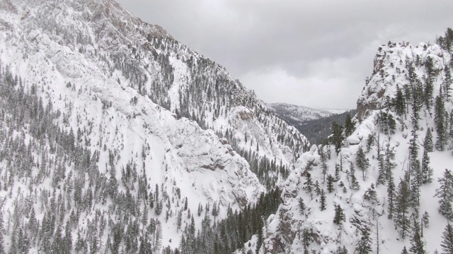 天空:乌云聚集在云杉林之上，覆盖着白雪覆盖的山谷视频素材