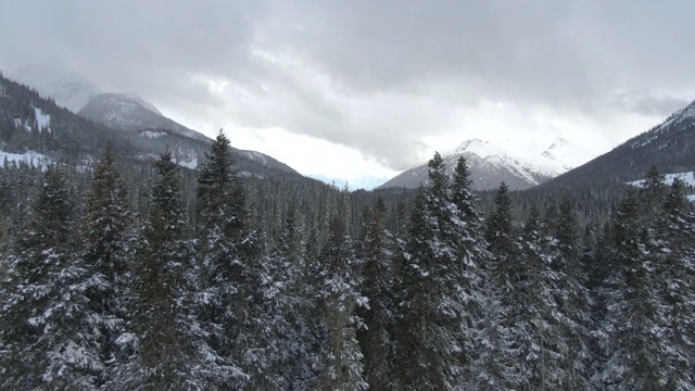 空中摄影:在一个多云的冬日里，飞过一片巨大的积雪的针叶林。视频素材