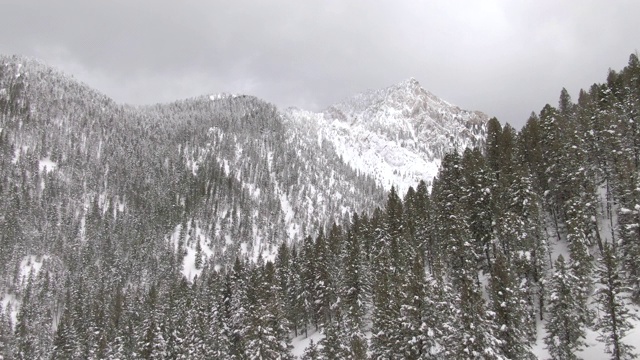 无人机:飞向阿尔伯塔雪林深处的一座高耸的山峰。视频素材