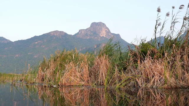 湖中有石灰岩山、岩壁、绿林和芦苇田视频素材