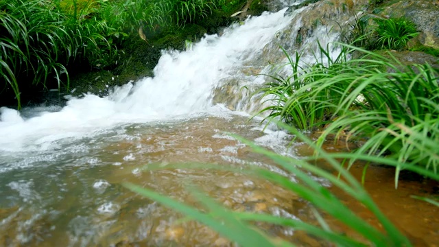 从山上流下的溪水视频素材