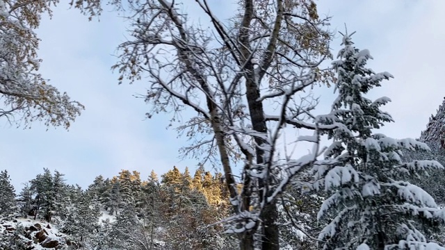 科罗拉多州博尔德市附近新下的雪覆盖了大地视频素材