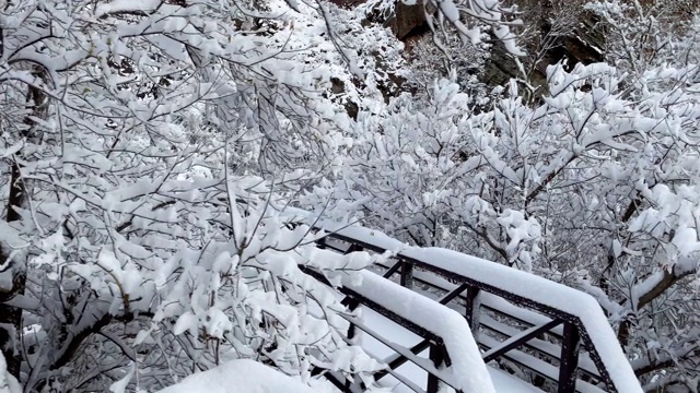 科罗拉多州博尔德市附近新下的雪覆盖了大地视频素材