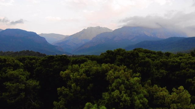 令人惊叹的山景，蜿蜒的道路和针叶林视频素材