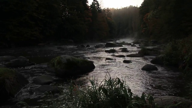 寒冷的早晨，河里有大石头视频素材