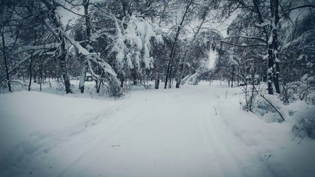 沿着积雪的道路视频素材