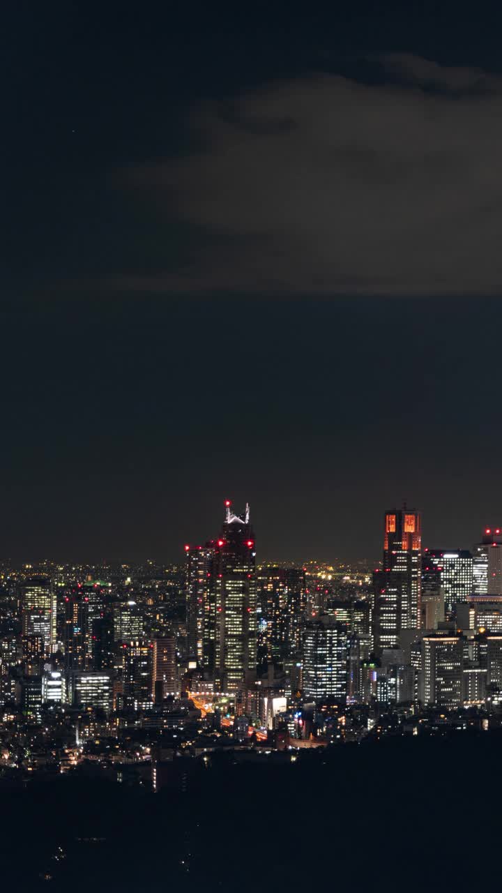 新宿摩天大楼之夜(垂直/平移/延时)视频素材