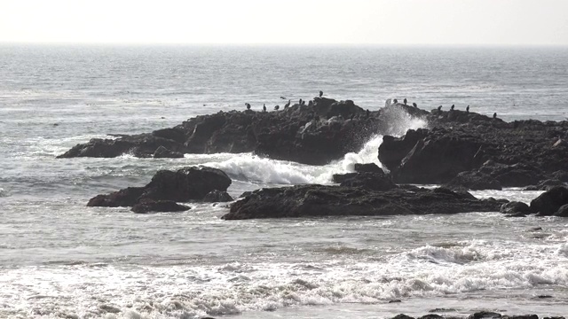 海浪拍打着海岸附近的岩石视频素材