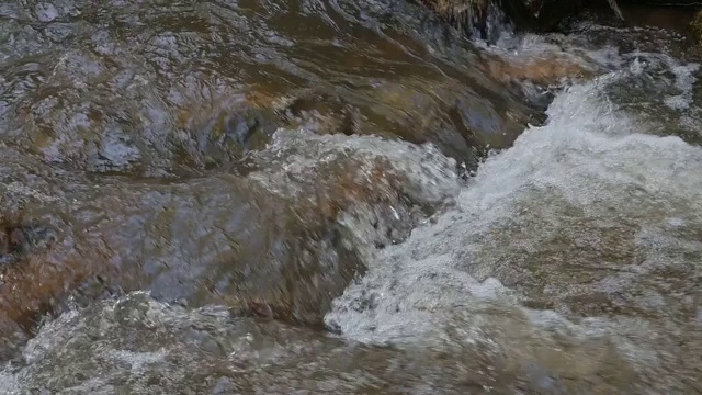 河水缓慢流动的小溪视频素材