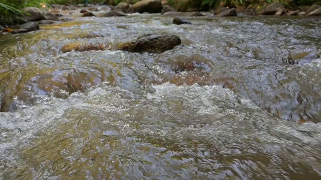 河水缓慢流动的小溪视频素材