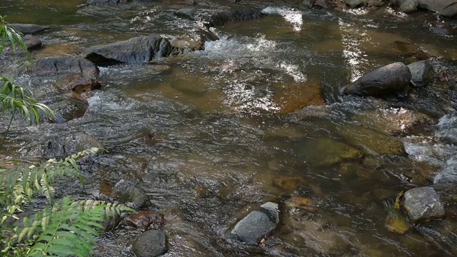 河水缓慢流动的小溪视频素材