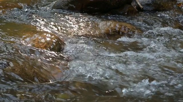 河水缓慢流动的小溪视频素材