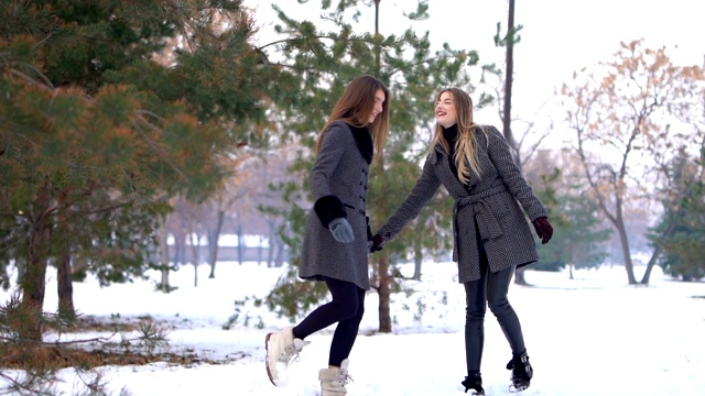 雪中两个美丽的女人视频素材