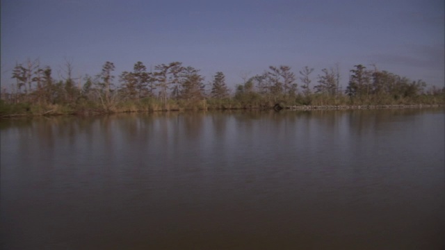 飓风毁坏了暴涨的河流沿岸的树木。视频素材