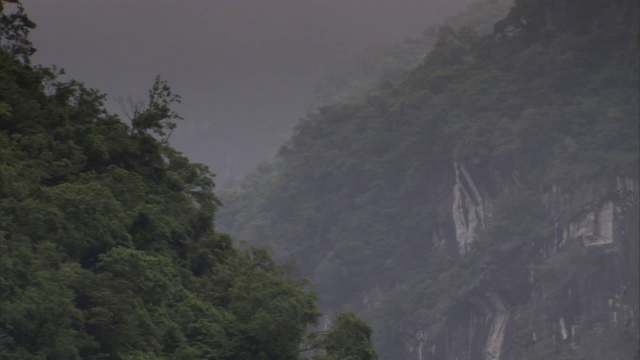 薄雾笼罩在树木繁茂的峡谷中。视频素材