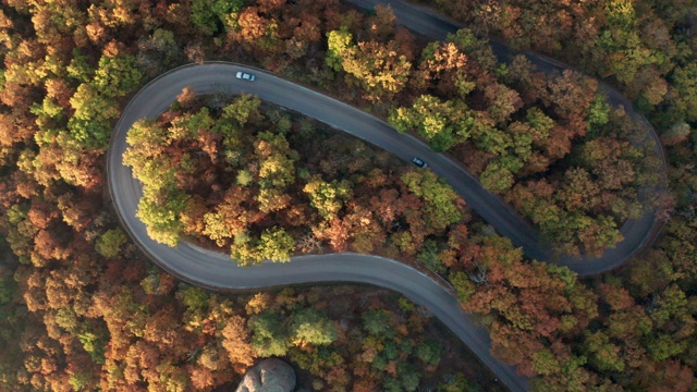 秋天森林里弯弯曲曲的路视频素材