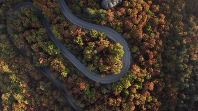 秋天森林里弯弯曲曲的路视频素材