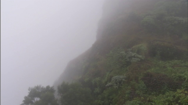 浓雾弥漫在森林覆盖的山坡上。视频素材