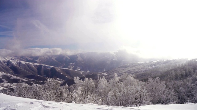 下雪的景色视频素材