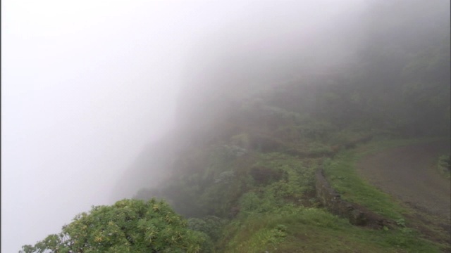 一阵强风吹过，浓雾弥漫在森林覆盖的山坡上。视频素材