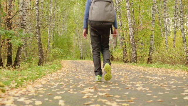 少年背着背包走在秋天公园的小路上。后视图男孩少年杜松子酒在道路在城市公园在秋天假期。秋天在森林公园散步。视频素材