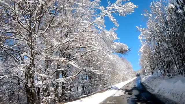 美丽的冬季自然POV车辆行驶，高山阿尔卑斯山，森林常绿树木与雪视频素材