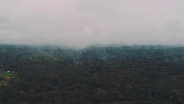 上面有绿树的魔法雾林。自然从高。无人机拍摄背景。视频下载