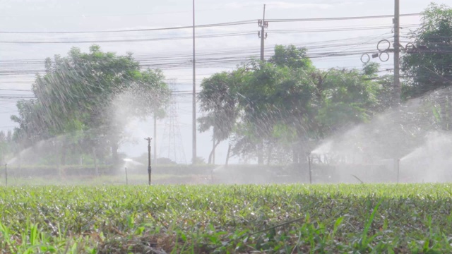 草地农场浇水通过洒水系统喷洒新鲜的水到草地在早晨模糊的交通背景视频素材