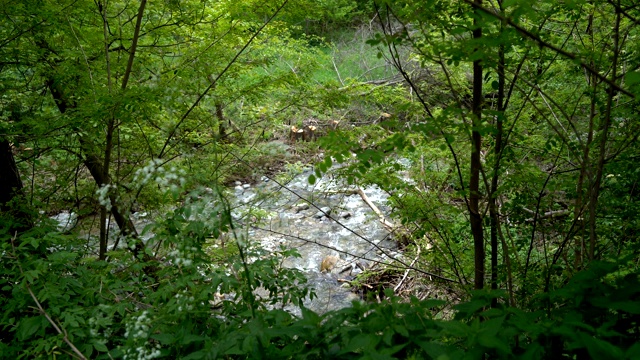 山区河流视频素材