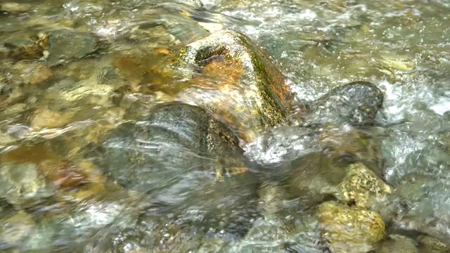 山区河流视频素材