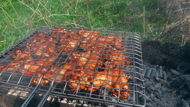 烧烤鸡肉视频素材