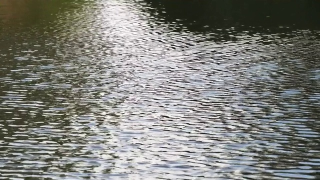 近距离拍摄清澈的河水，在水面上反射着粼粼波光，4k视频，慢镜头。视频素材