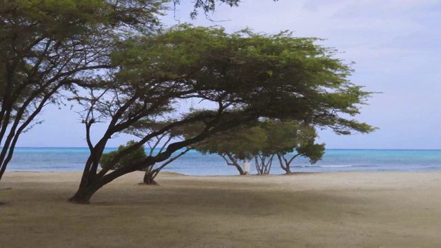 阿鲁巴的自然美景。碧蓝的海水和蔚蓝的天空。美丽的自然背景。视频素材