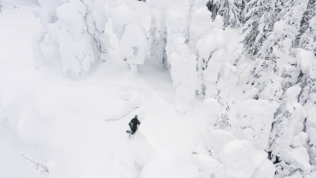 无人机拍摄上方滑雪板登山在深粉雪在冬季雪天条件在滑雪胜地视频素材