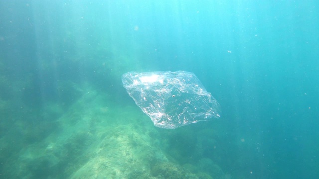 垃圾在海里。肮脏的海视频下载